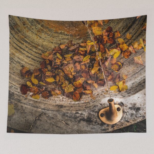 Item preview, Autumn Leaves in a Fountain designed and sold by Chris Bingham.