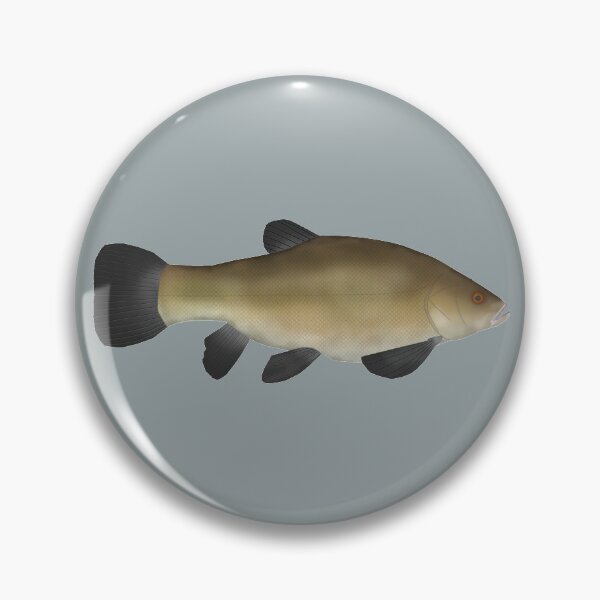 Item preview, Tench (Doctor fish) designed and sold by fishfolkart.
