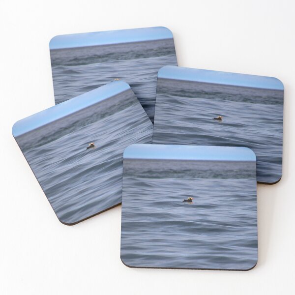 Item preview, puffin designed and sold by Perggals© - Stacey Turner.