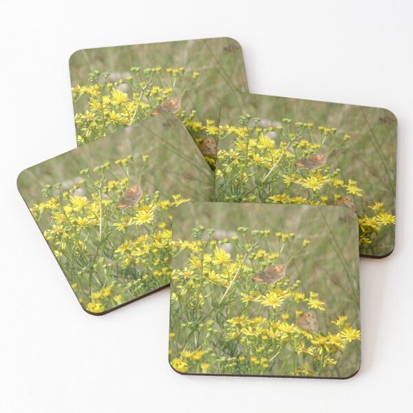 Item preview, Gatekeeper Butterflies in a Field of Yellow Ragwort Flowers Photograph designed and sold by naturegallery.