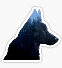 Double Exposure: Canon - Portrait Sticker