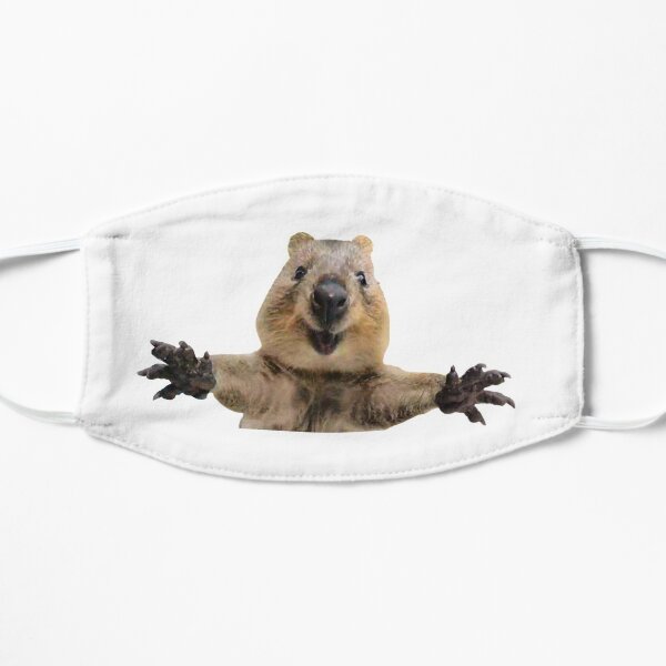 Happy quokka welcoming hug Mask