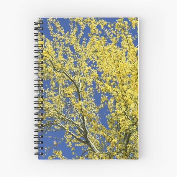 Artikelvorschau, Frühlingsblumen Arizona entworfen und verkauft von Dennis Begnoche.