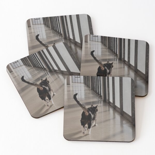 Item preview, catwalk designed and sold by FONESAY.
