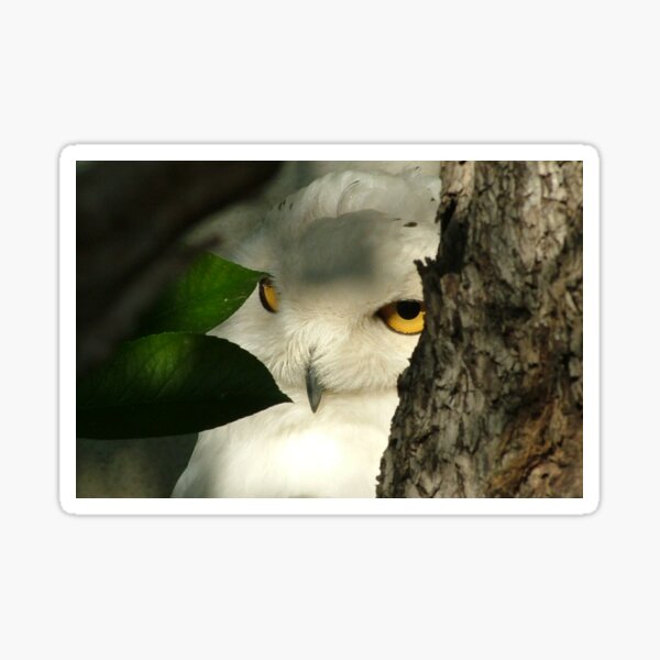 I can see you! Sticker