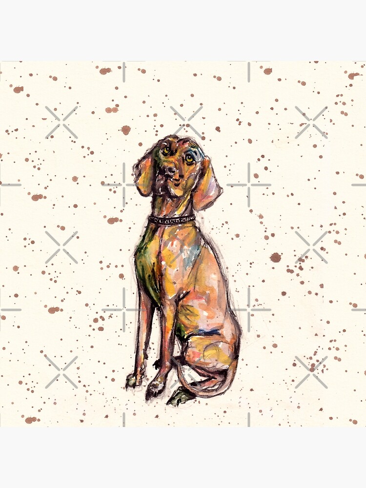 Hungarian Vizsla Dog by notsniwart