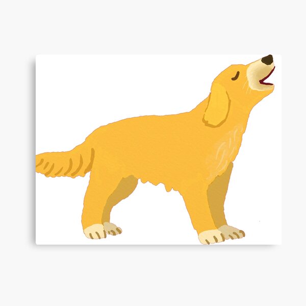golden dog Canvas Print
