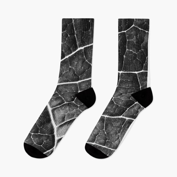 Item preview, LEAF STRUCTURE no2A BLACK AND WHITE designed and sold by Pia Schneider.