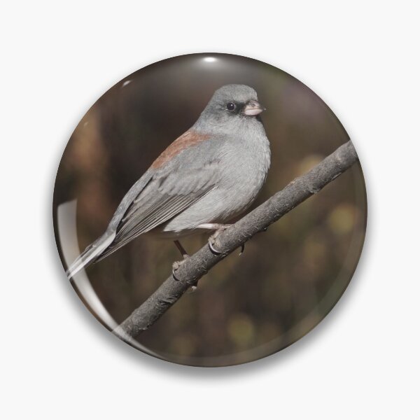 Item preview, A Red Backed Dark Eyed Junco designed and sold by MomentofPercep.