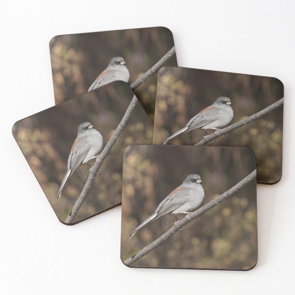 Item preview, A Red Backed Dark Eyed Junco designed and sold by MomentofPercep.