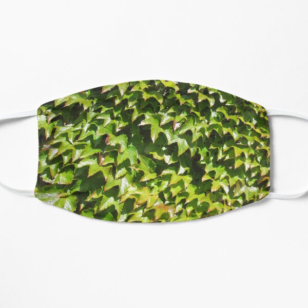 Virginia Creeper Flat Mask