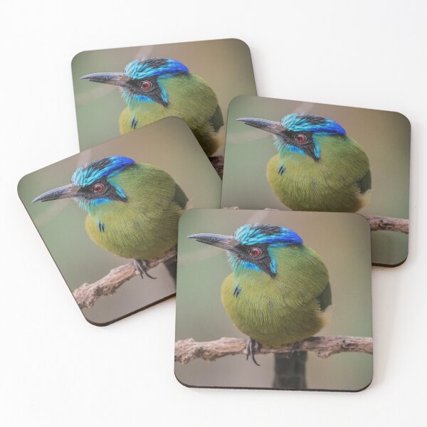 Item preview, Blue-crowned motmot designed and sold by Luis Sandoval.