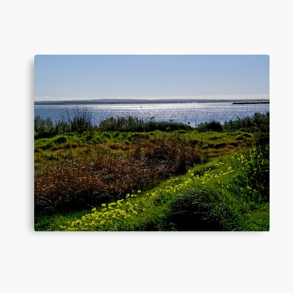 Item preview, Swan Bay Queenscliff Victoria designed and sold by tunna.