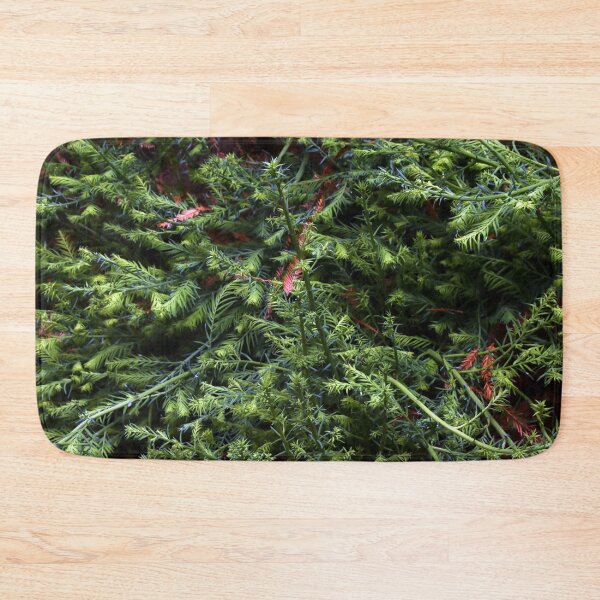 Item preview, Guerneville Redwood Sprouts designed and sold by Photos by Michael J. Mesmer.