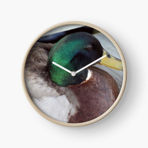 A Mallard on the Dock Clock