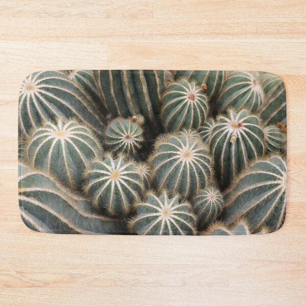Item preview, Cacti at the Serres d'Auteuil Botanical Gardens designed and sold by Photos by Michael J. Mesmer.