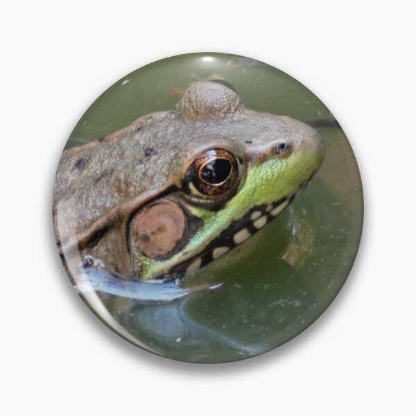 Item preview, Frog in the Water designed and sold by Kimmary.