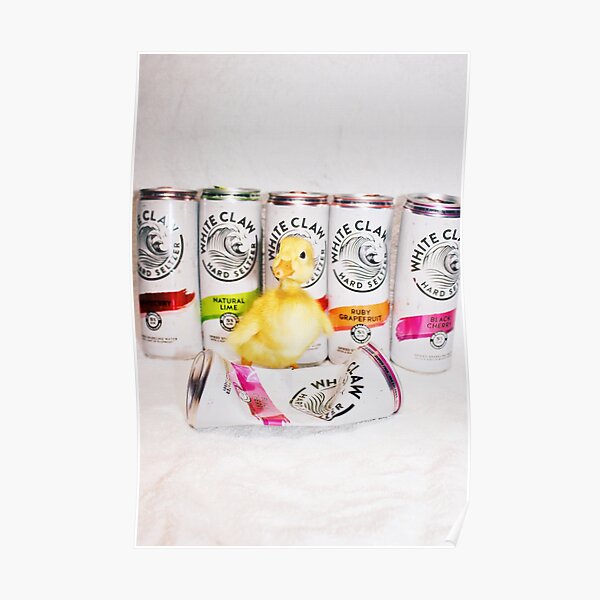 Drunk Duck Poster Whiteclaws 2 Poster