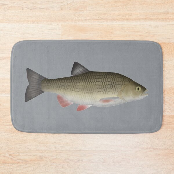Item preview, European Chub designed and sold by fishfolkart.