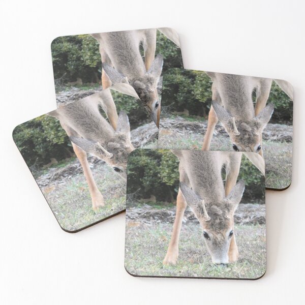 Item preview, Un joven ciervo en 2020 designed and sold by Kimmary.