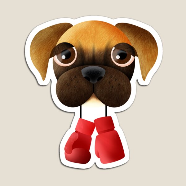 Boxer Imán