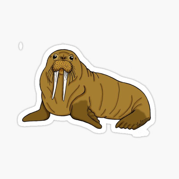 Item preview, Walrus designed and sold by sharkbait83.