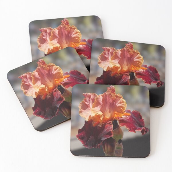Item preview, The Dramatic Colors of a Burgundy and Peach Iris designed and sold by MomentofPercep.