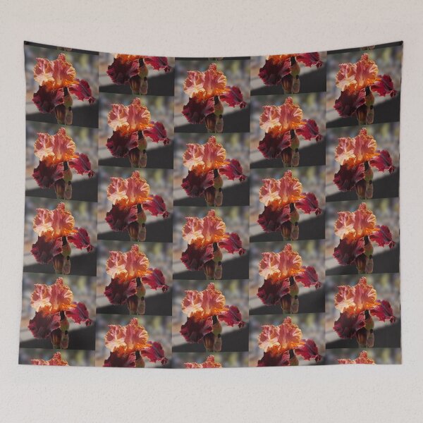Item preview, The Dramatic Colors of a Burgundy and Peach Iris designed and sold by MomentofPercep.