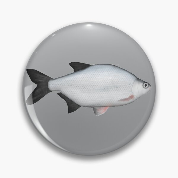 Item preview, Silver (White) Bream designed and sold by fishfolkart.