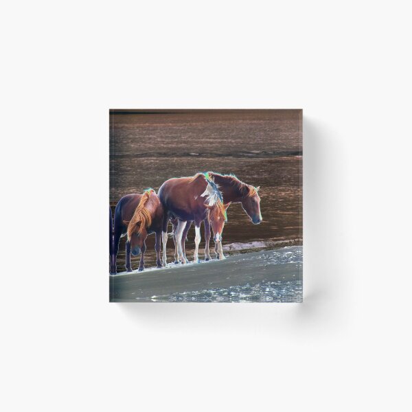 Item preview, Wild Ponies designed and sold by Kimmary.