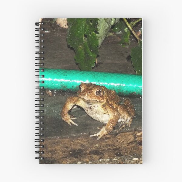 Item preview, Fighting Toad designed and sold by Kimmary.