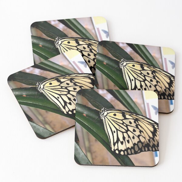 Item preview, Chinese Yellow Swallowtail designed and sold by Kimmary.