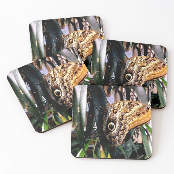 Item preview, Owl Eye Butterfly On A Leaf designed and sold by Kimmary.