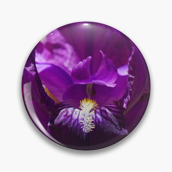 Item preview, The Anatomy of an Iris designed and sold by MomentofPercep.