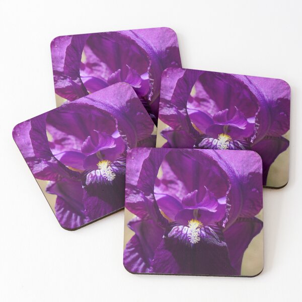 Item preview, The Anatomy of an Iris designed and sold by MomentofPercep.