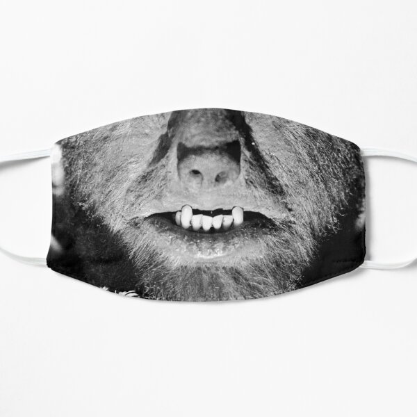 El hombre lobo Mascarilla