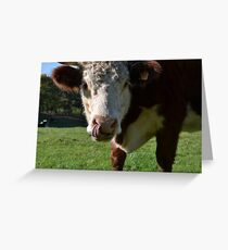 Curious Cow Greeting Card Greeting Card