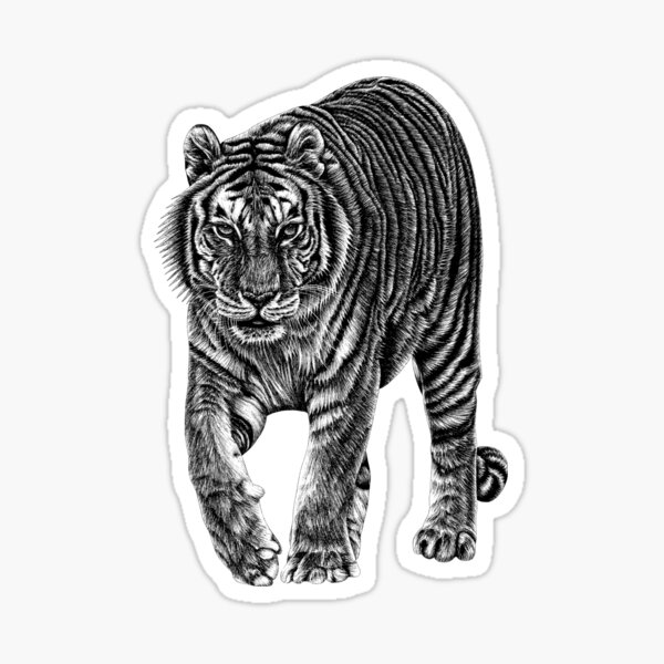 Vista previa del artículo con la obra «Tigre de amur», diseñado y vendido por LorenDowding.
