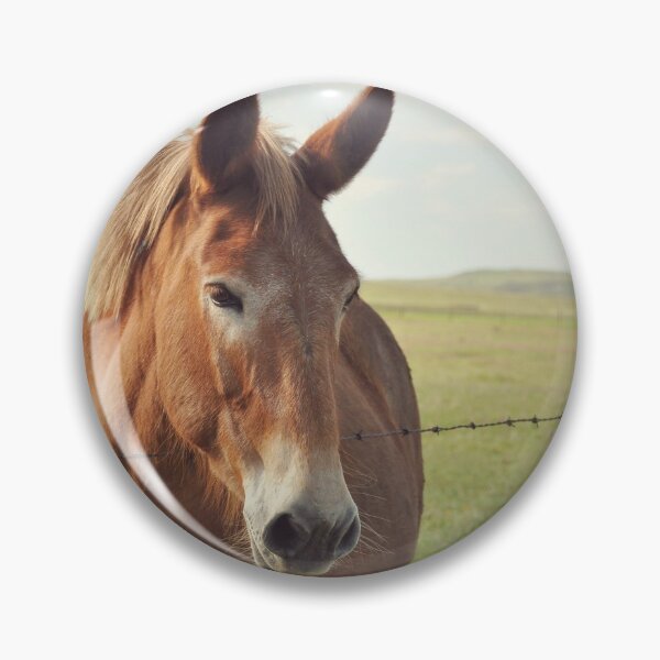 Item preview, Sweet, Pretty Horse designed and sold by indigorayz.