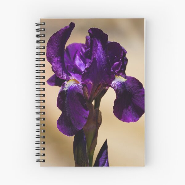 Item preview, The Deep Purple of an Easter Iris Flower designed and sold by MomentofPercep.