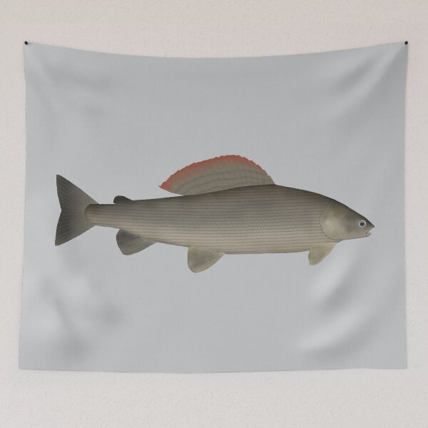 Artikelvorschau, Europäische Äsche entworfen und verkauft von fishfolkart.