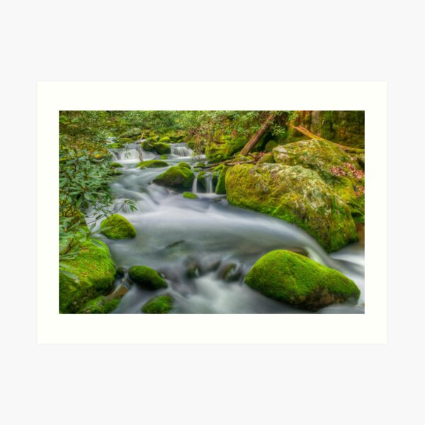 Roaring Fork River Art Print