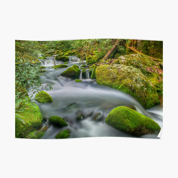 Roaring Fork River Poster