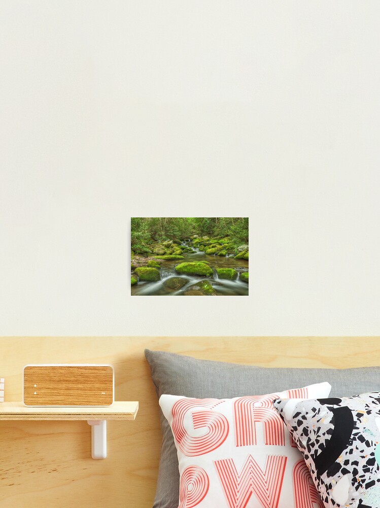Mossy River Rocks Roaring Fork River Photographic Print By