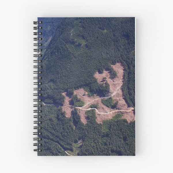 Item preview, Caminos de registro designed and sold by couragesings.