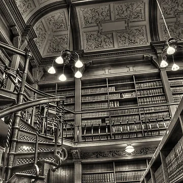 Artwork thumbnail, The Library by Al Duke
