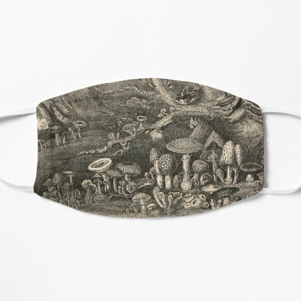 Mushrooms And Toadstools Flat Mask
