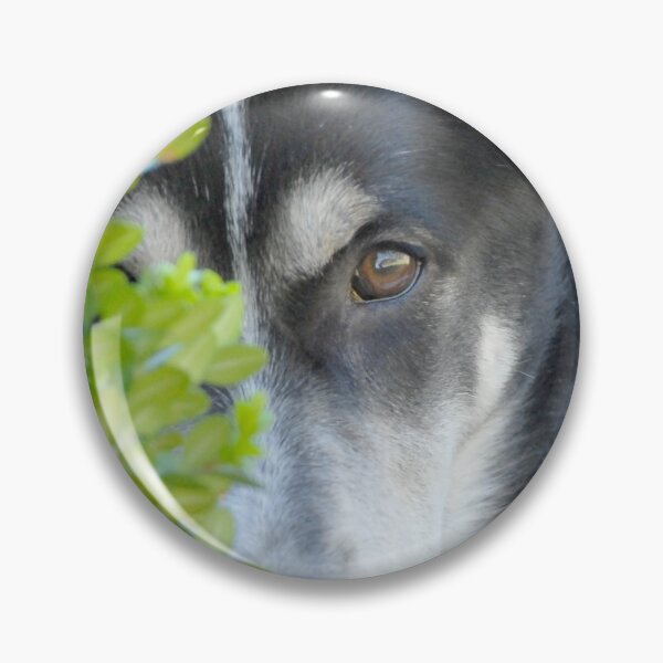 Misha Pin