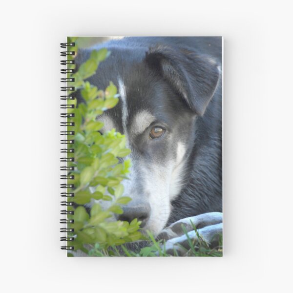 Misha Spiral Notebook