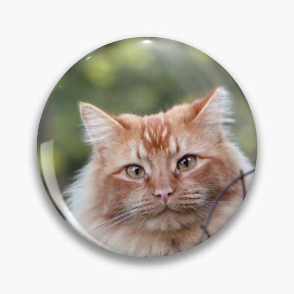 Item preview, Feral Fluff designed and sold by Photos by Michael J. Mesmer.